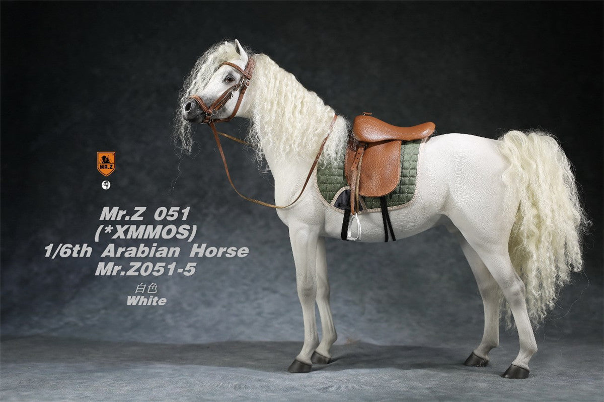 Mr.Z 1/6 Arabian Horse Model