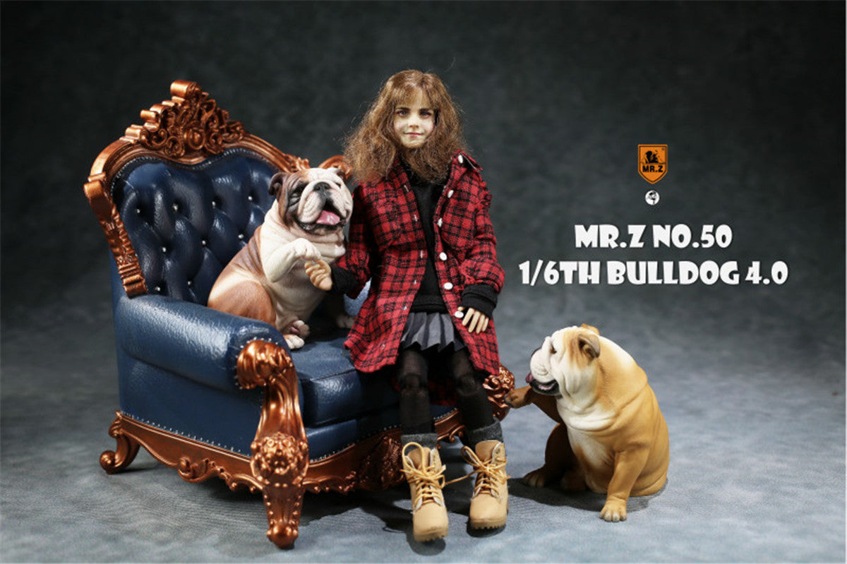Mr.Z 1/6 British Bulldog V4.0