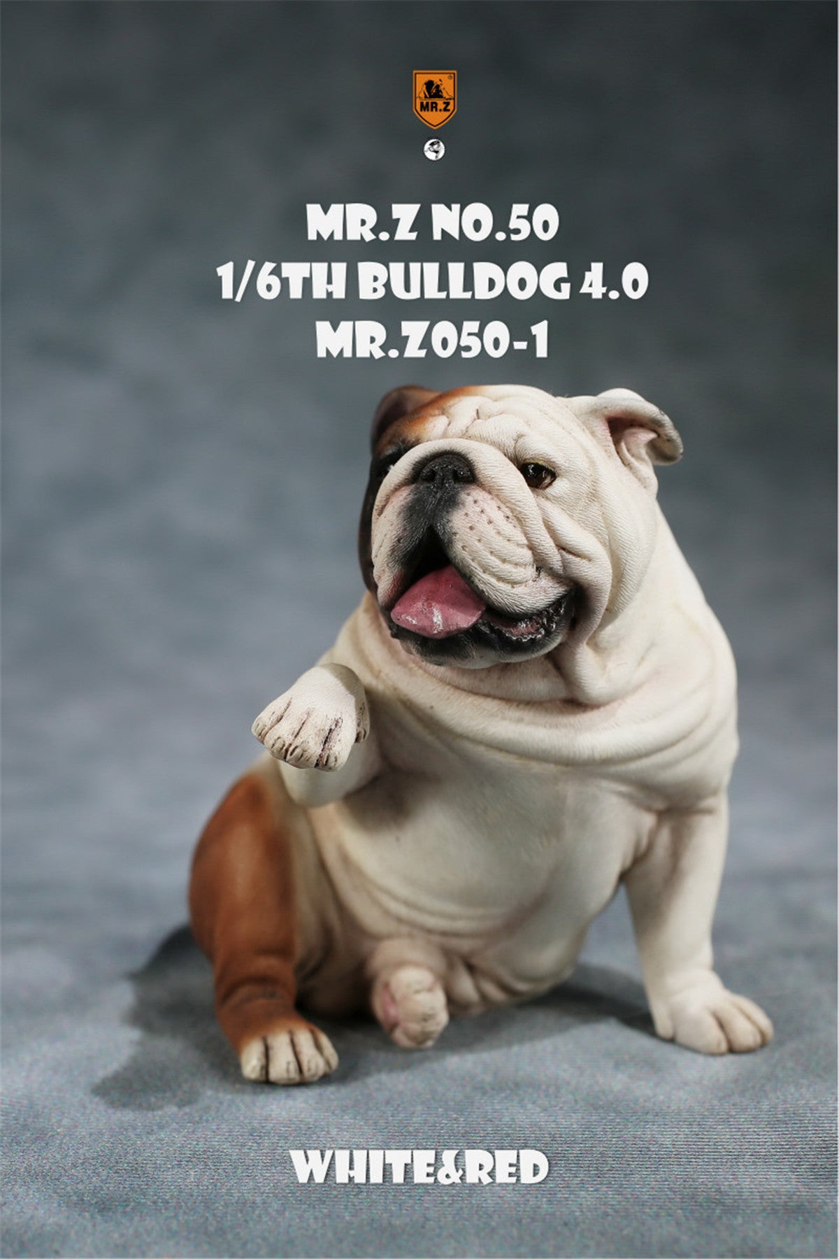 Mr.Z 1/6 British Bulldog V4.0