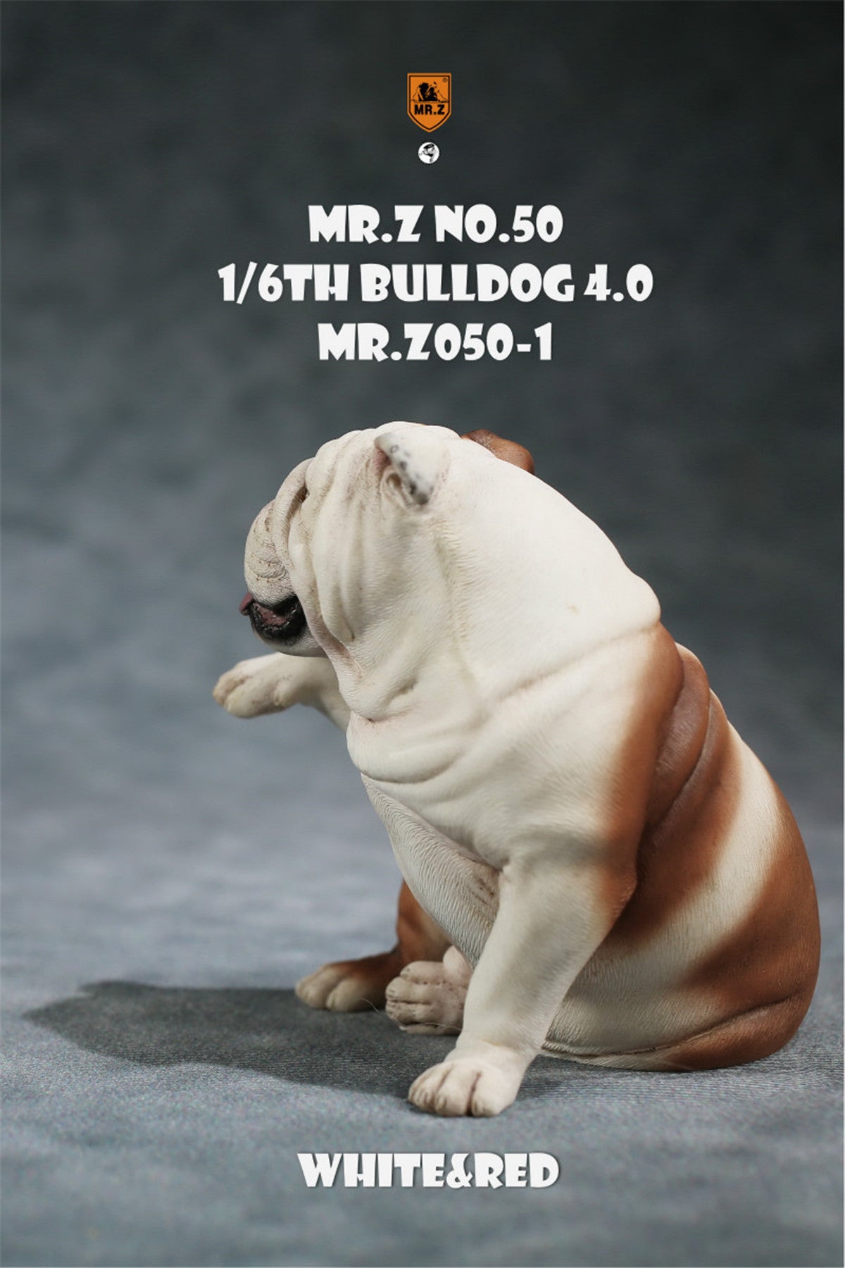 Mr.Z 1/6 British Bulldog V4.0