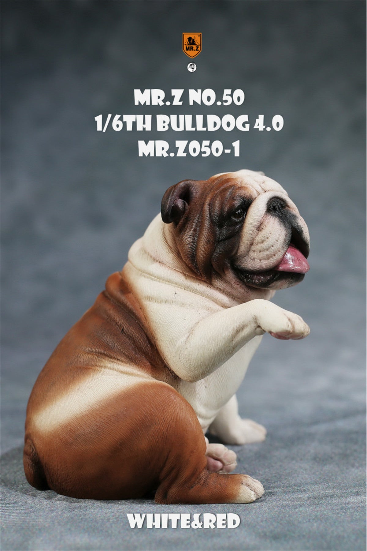 Mr.Z 1/6 British Bulldog V4.0