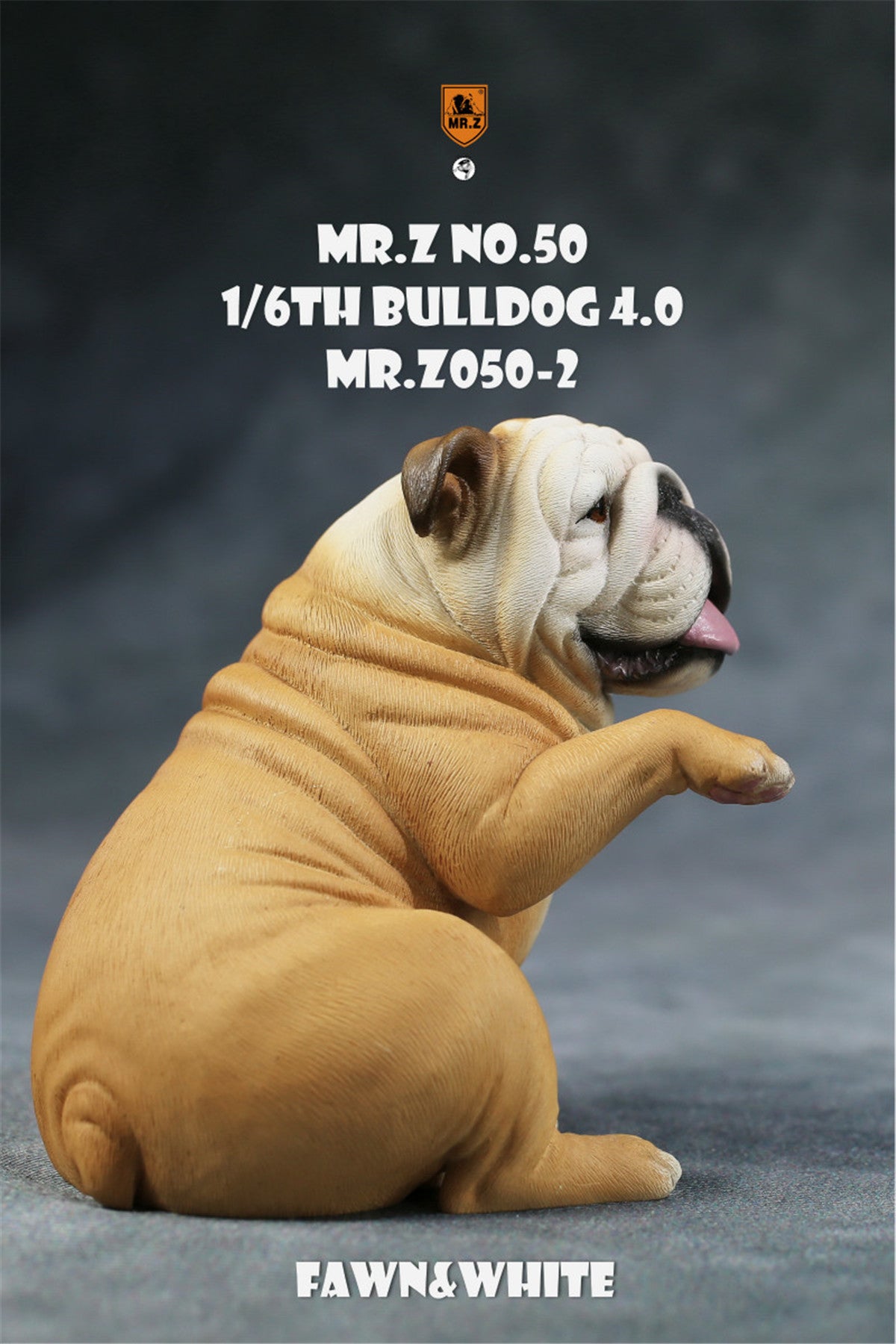 Mr.Z 1/6 British Bulldog V4.0