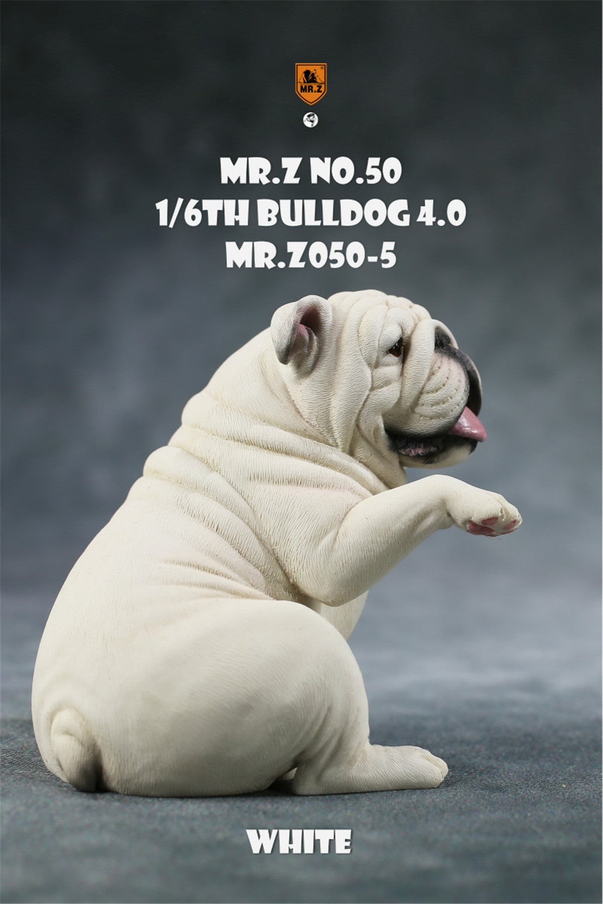 Mr.Z 1/6 British Bulldog V4.0