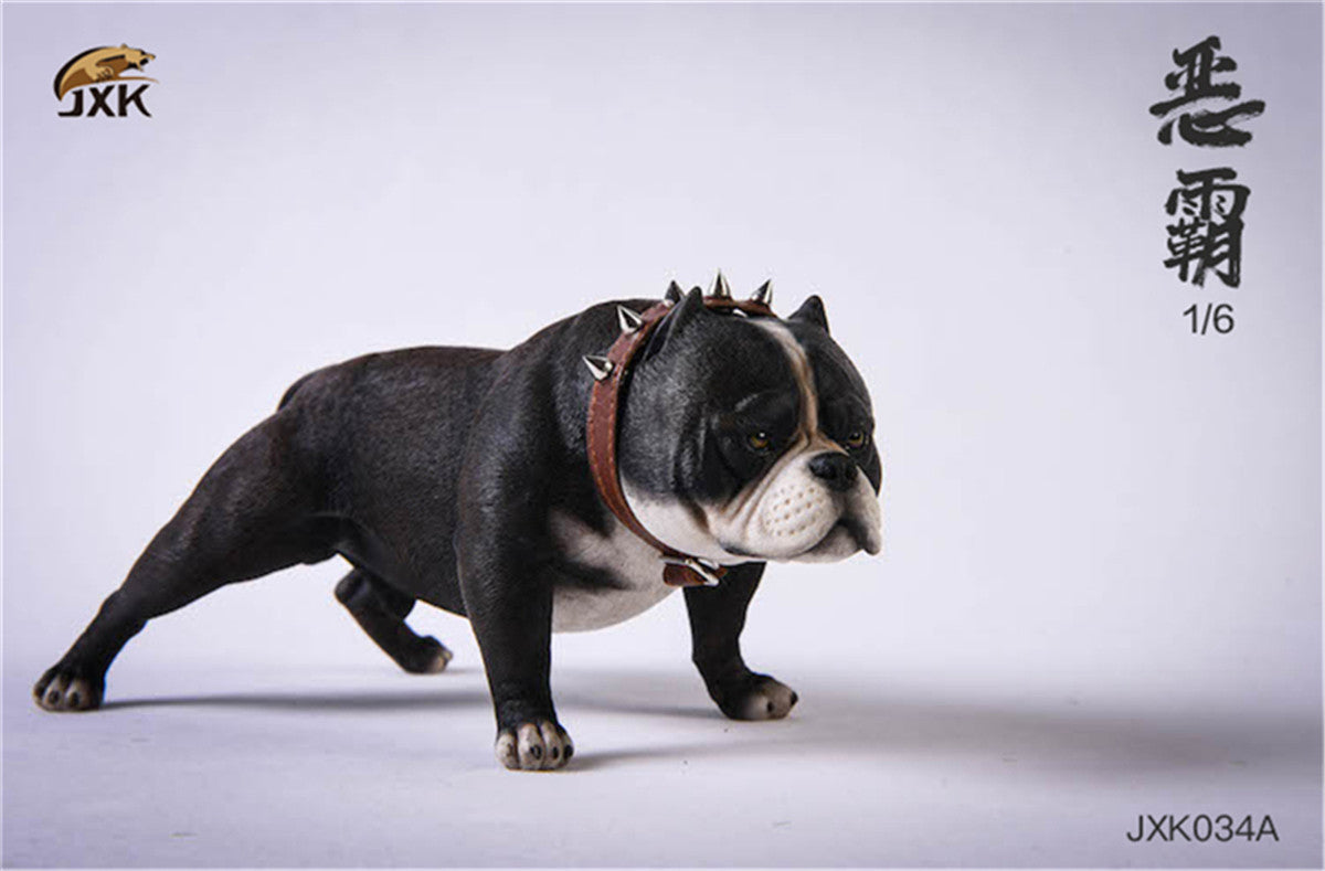 JXK 1/6 American Bully pitbull Dog Model