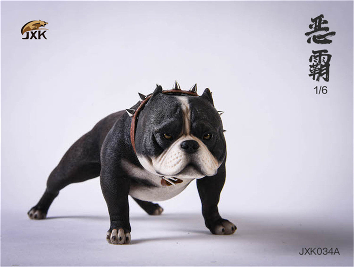 JXK 1/6 American Bully pitbull Dog Model