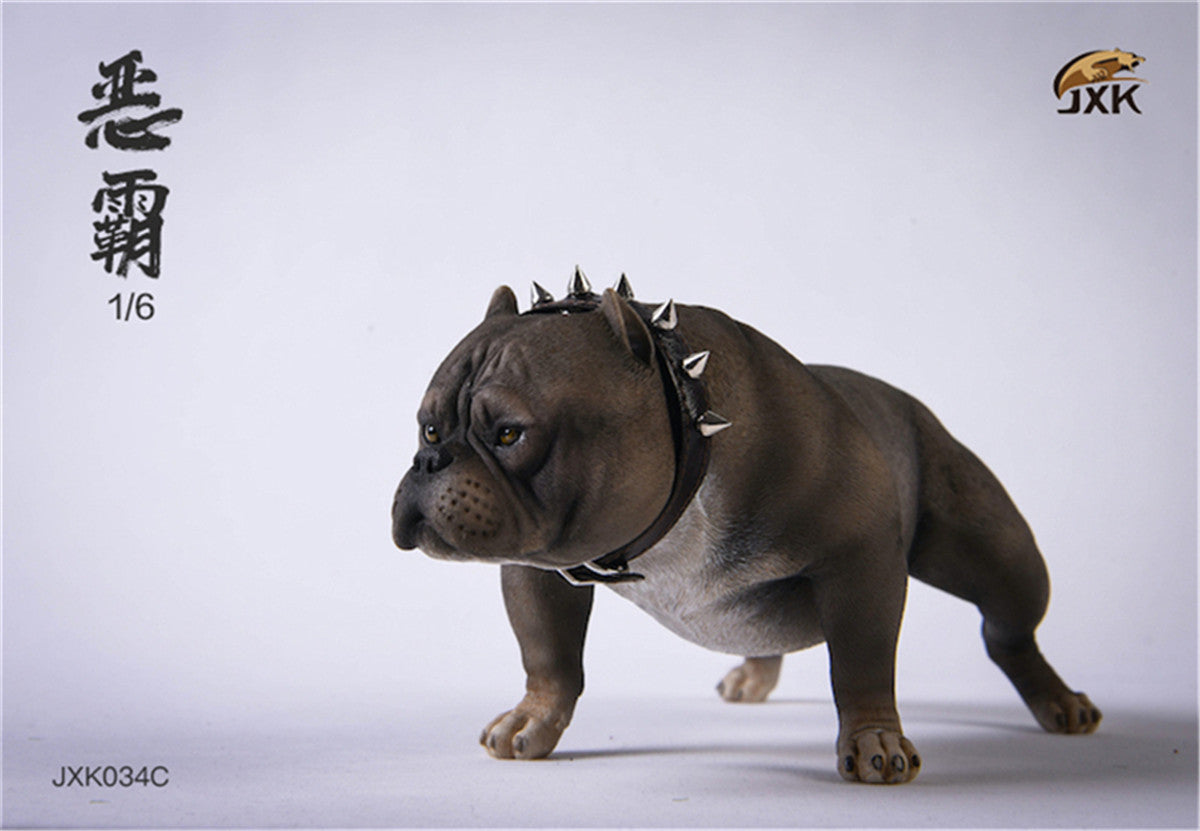 JXK 1/6 American Bully pitbull Dog Model