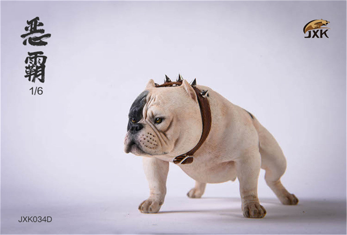 JXK 1/6 American Bully pitbull Dog Model