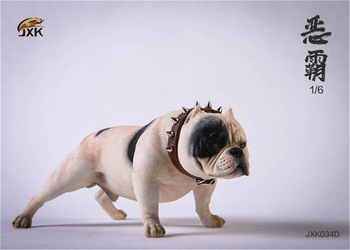JXK 1/6 American Bully pitbull Dog Model
