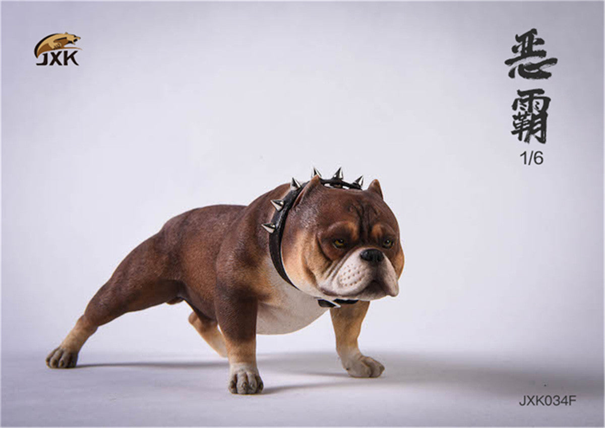 JXK 1/6 American Bully pitbull Dog Model
