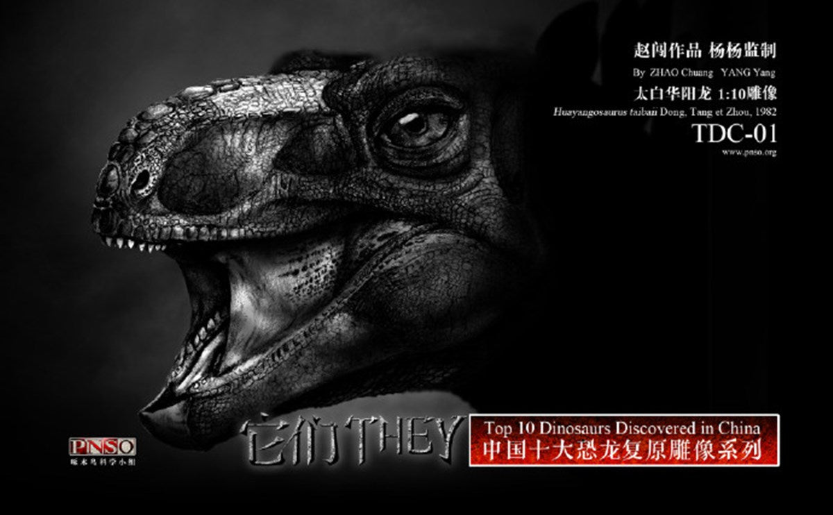 PNSO 1/10 Huayangosaurus taibaii dong Model