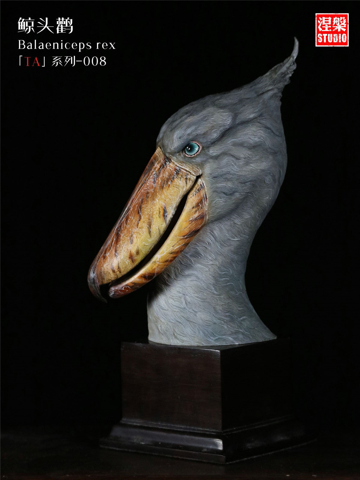 Balaeniceps Rex Model