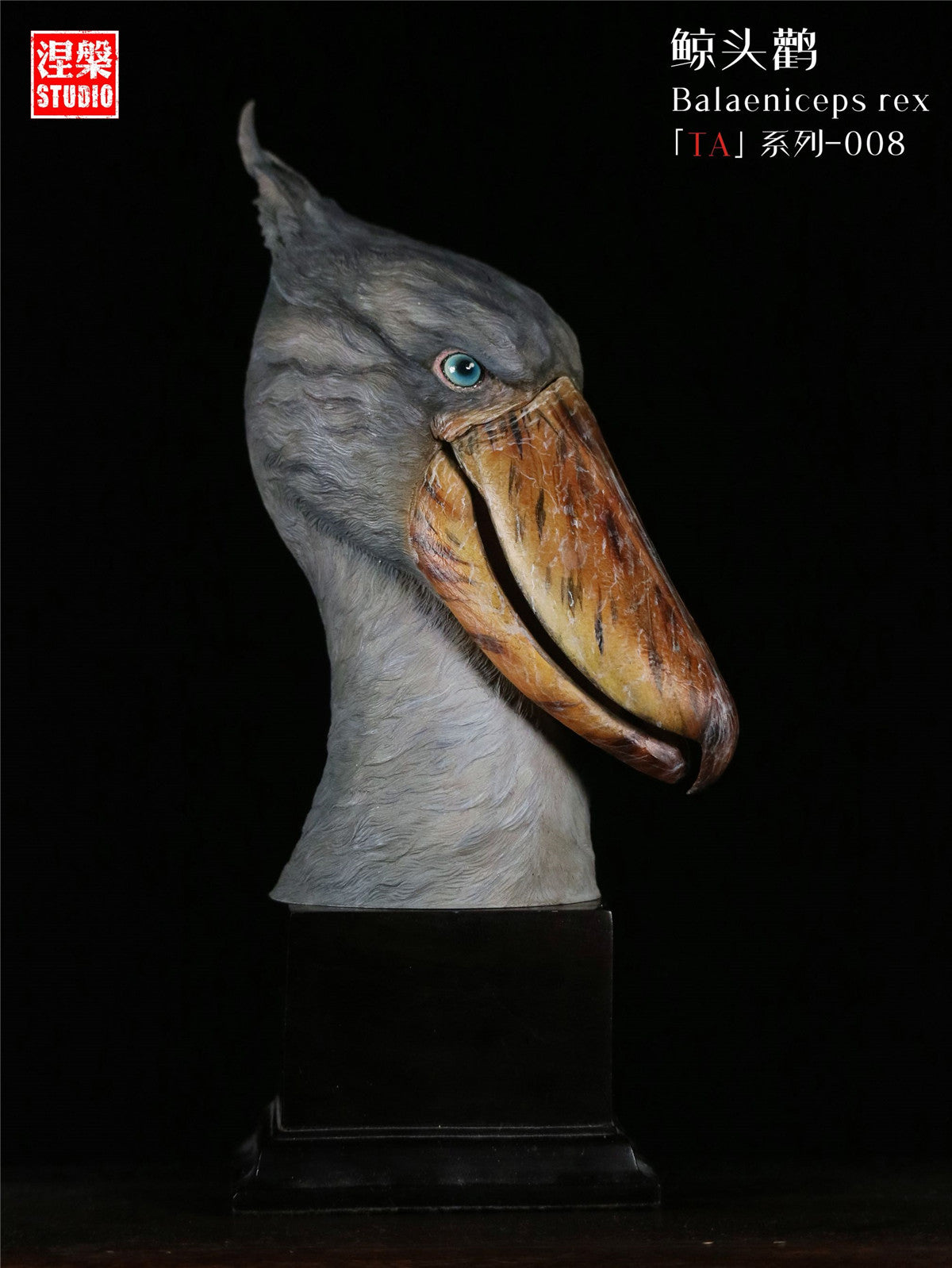 Balaeniceps Rex Model