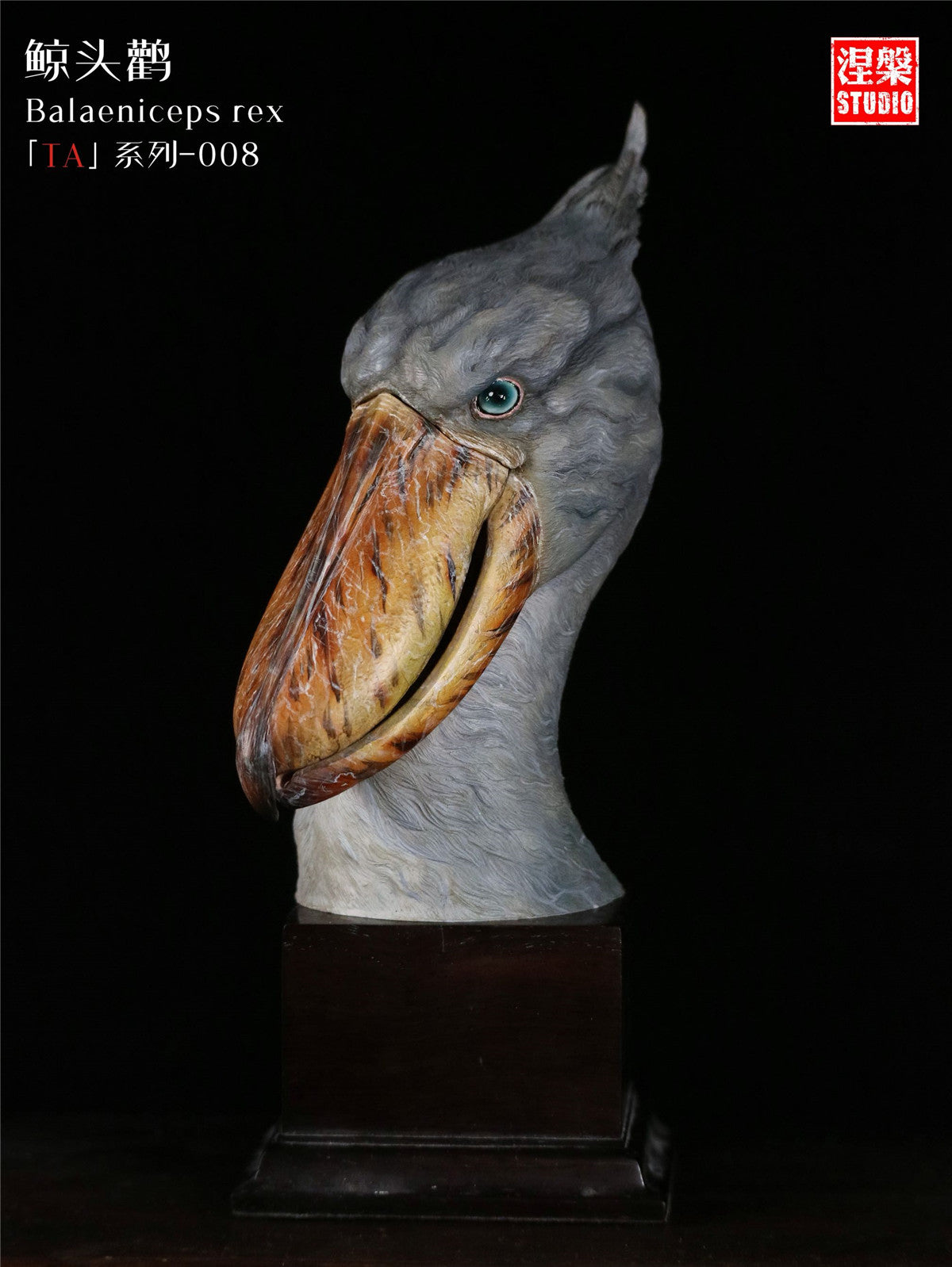 Balaeniceps Rex Model