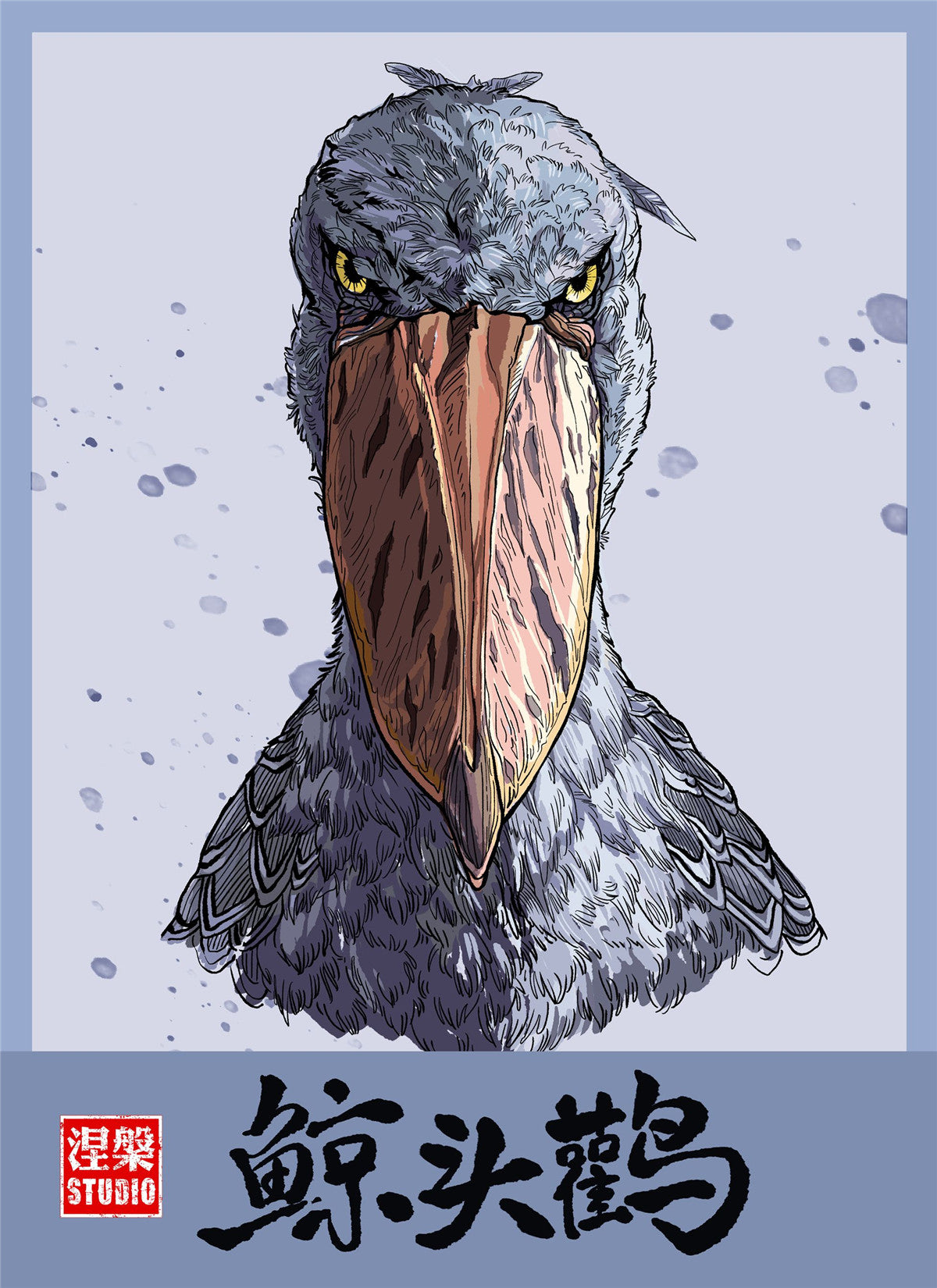 Balaeniceps Rex Model