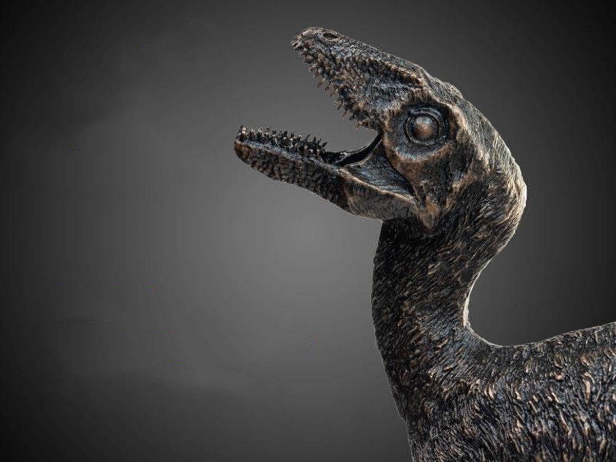 PNSO 1/3 Sinosauropteryx Yuyan Copper Statue