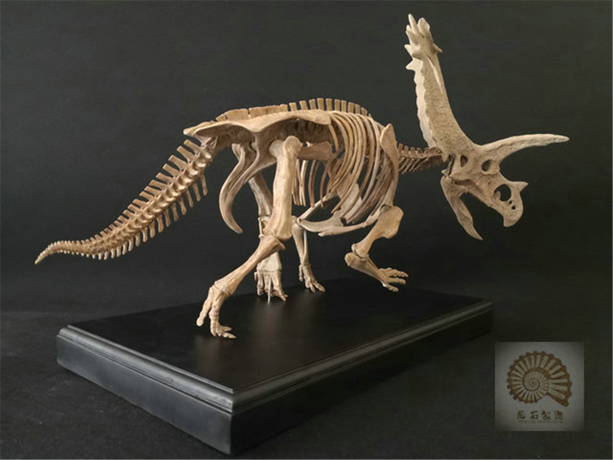 1/10 Pentaceratops Skeleton Model