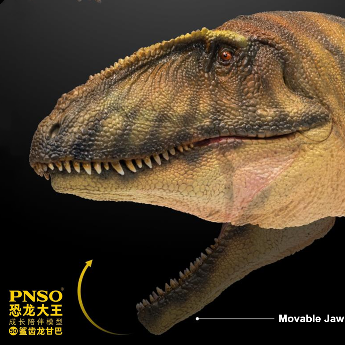PNSO Carcharodontosaurus Model