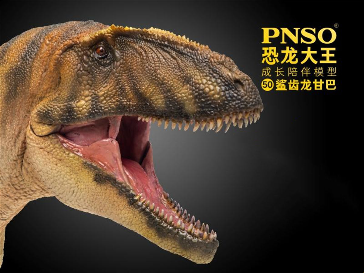 PNSO Carcharodontosaurus Model