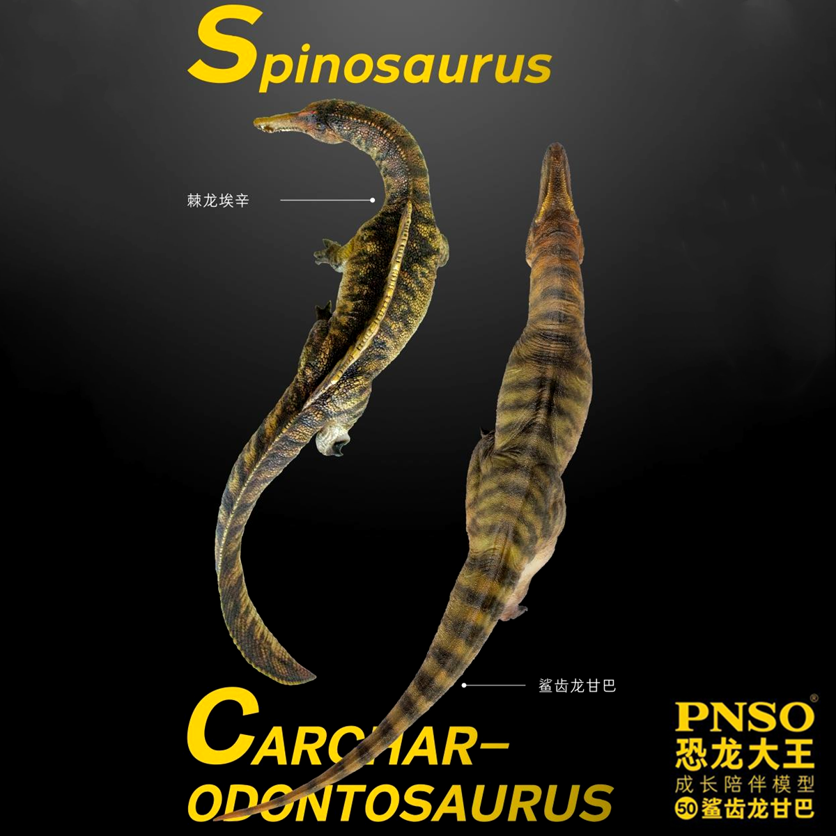 PNSO Carcharodontosaurus Model