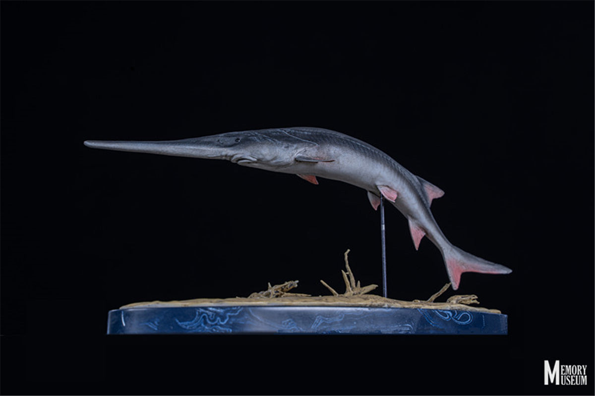 Memory Museum x Really Modeling 1/15 Paddlefish Statue