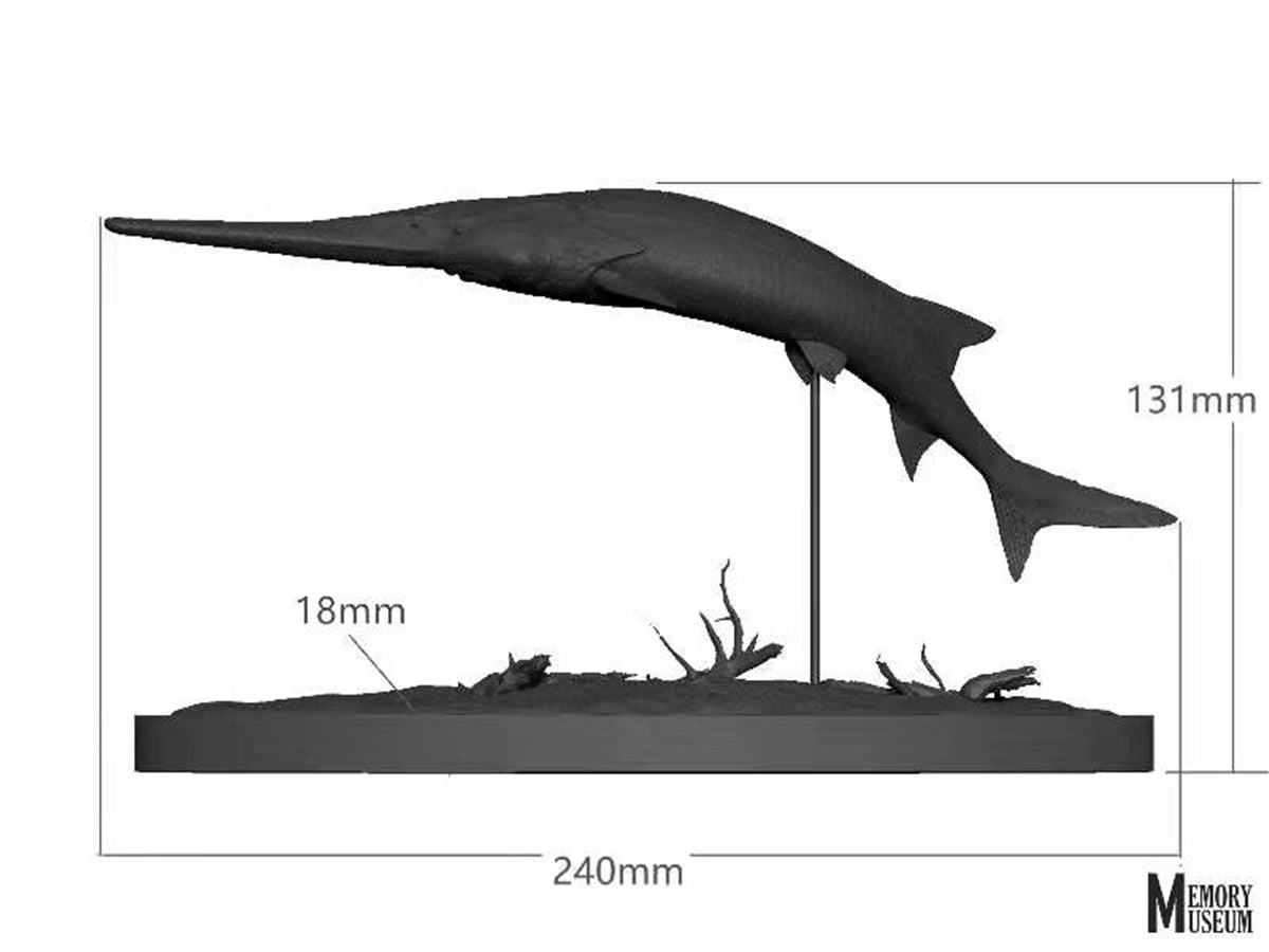 Memory Museum x Really Modeling 1/15 Paddlefish Statue