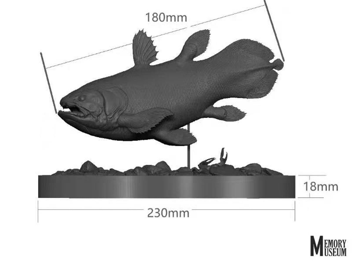 Memory Museum x Really Modeling 1/15 Coelacanth Statue