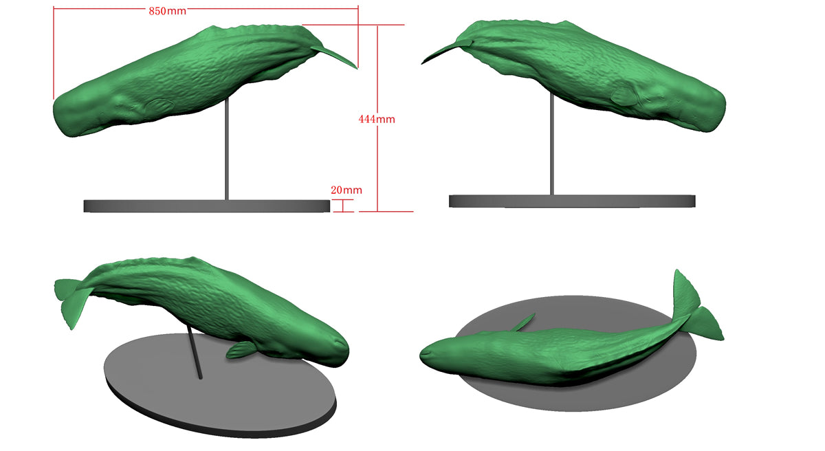 Memory Museum x Bill Wieger 1/15 Sperm Whale Statue