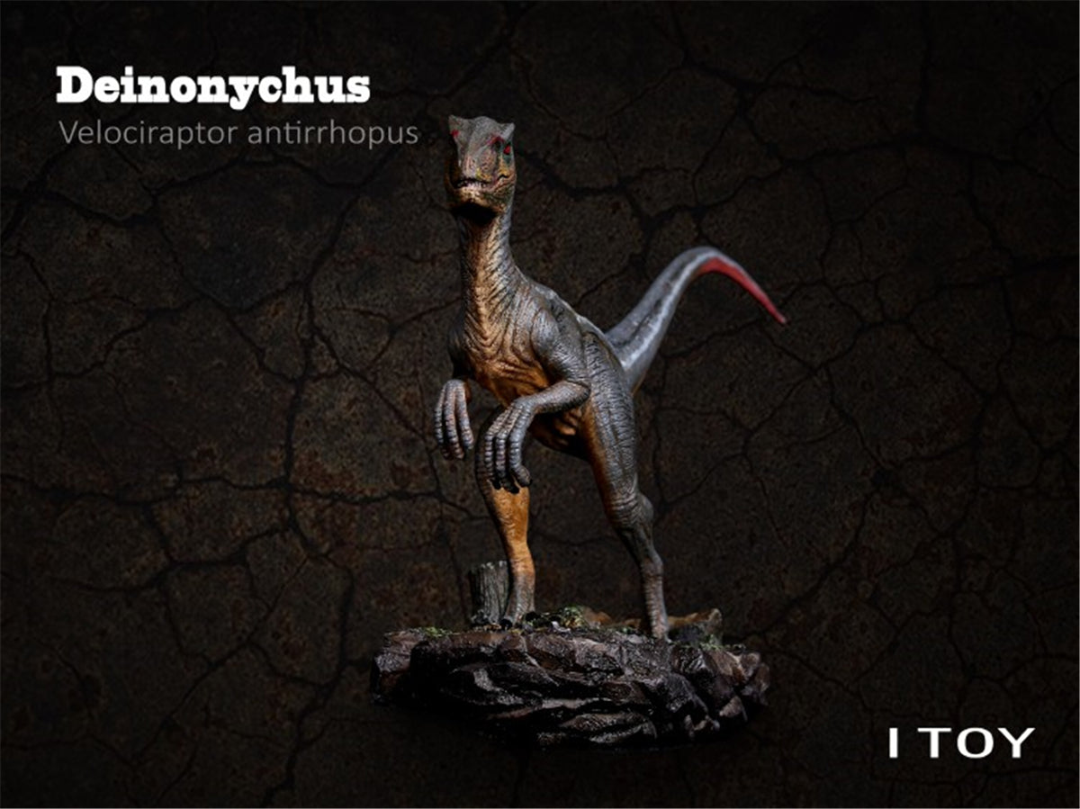 ITOY Velociraptor Model