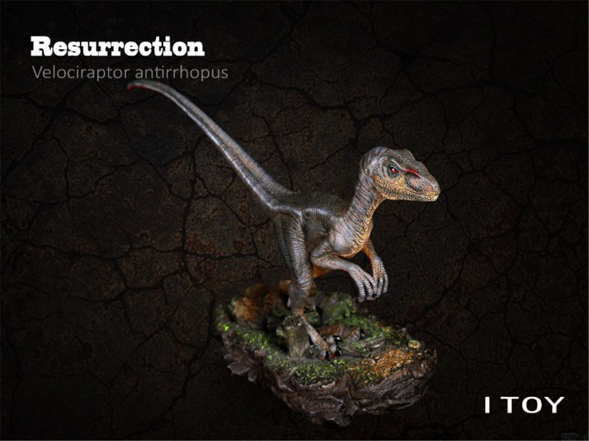 ITOY Velociraptor Model