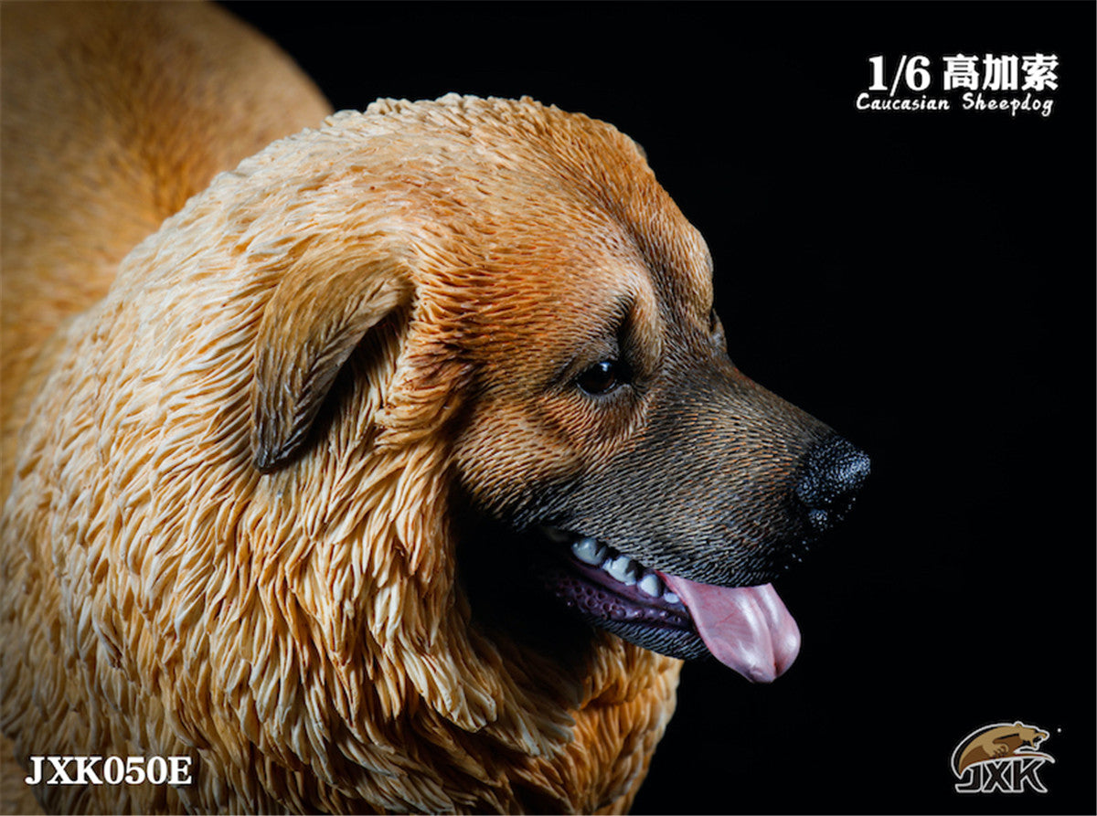 JXK 1/6 Caucasian Sheepdog Figure