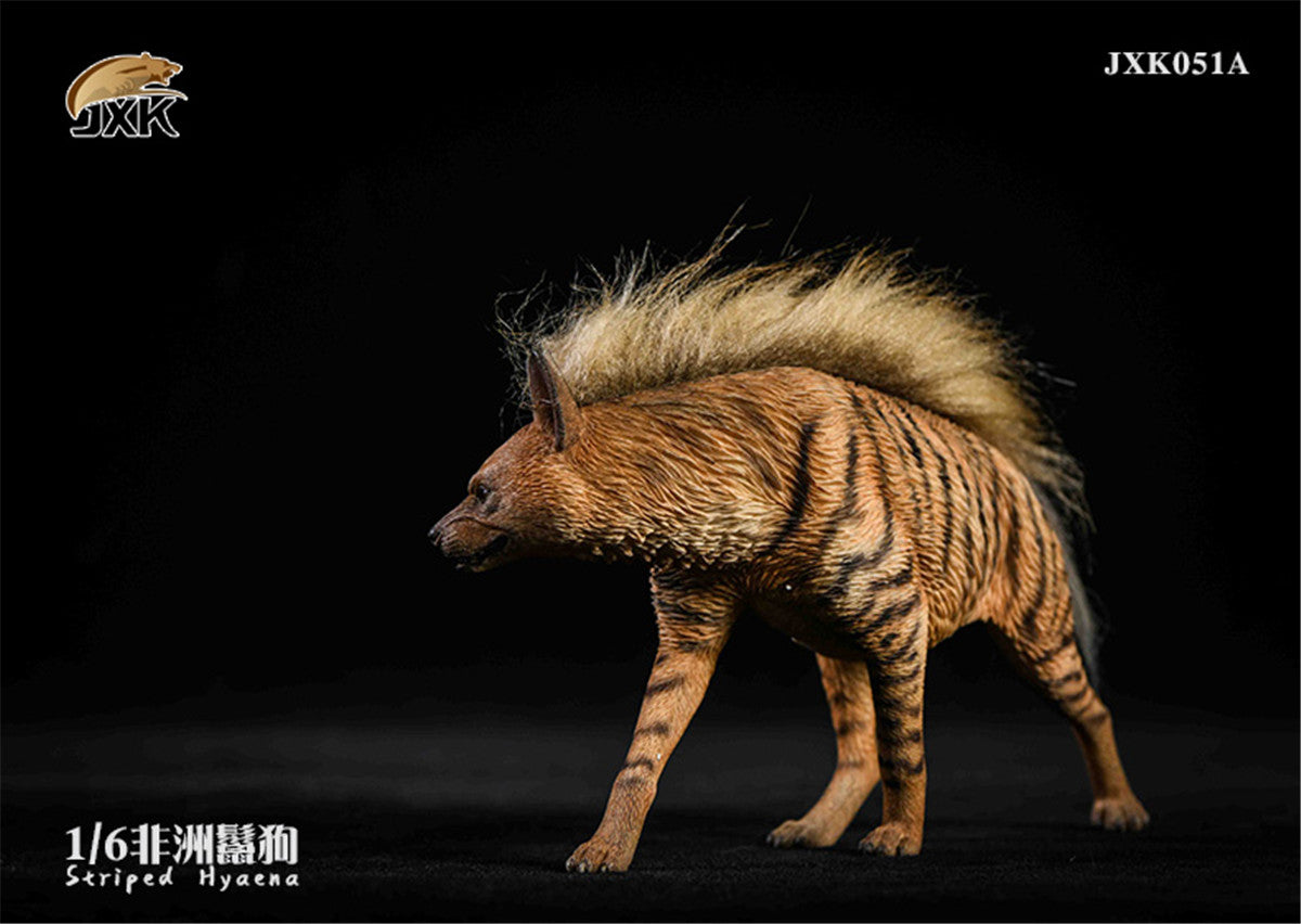 JXK 1/6 Africa Striped Hyaena Figure