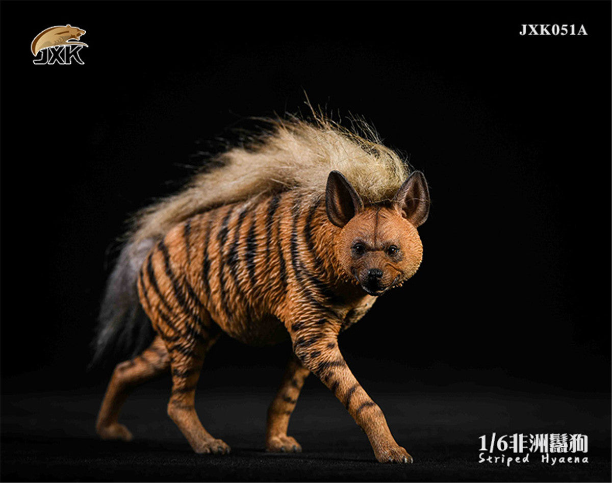 JXK 1/6 Africa Striped Hyaena Figure
