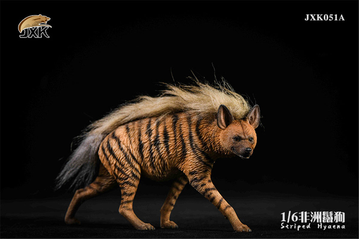 JXK 1/6 Africa Striped Hyaena Figure