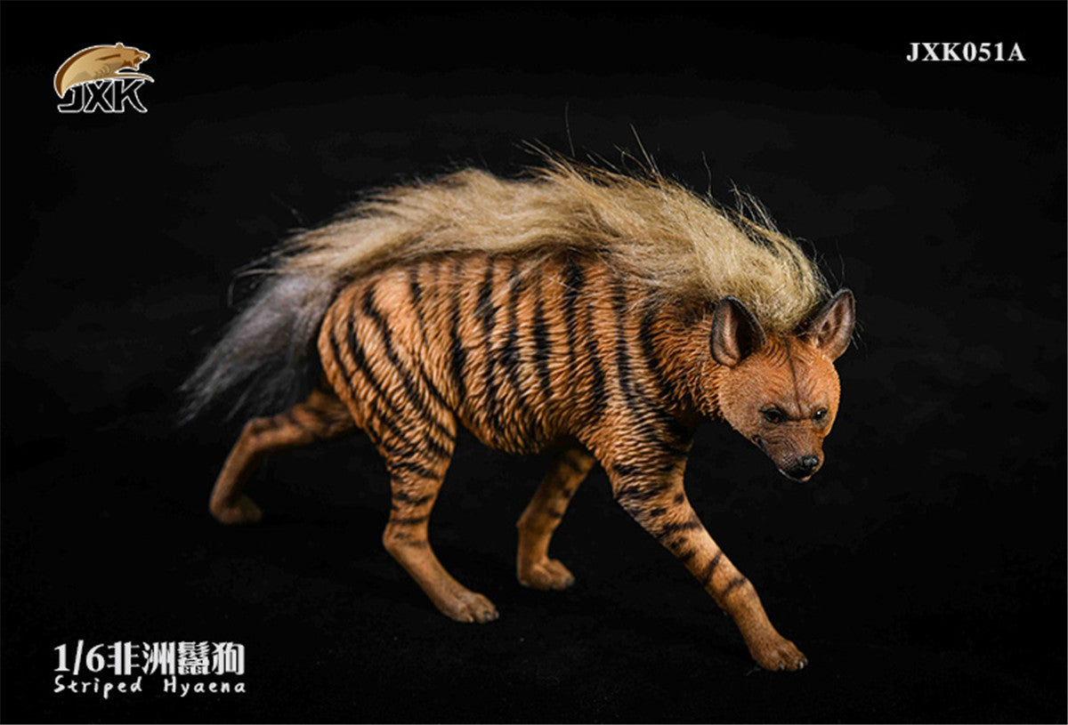 JXK 1/6 Africa Striped Hyaena Figure