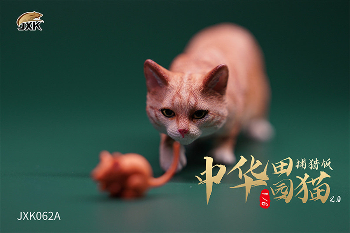 JXK 1/6 Chinese Garden Cat 2.0