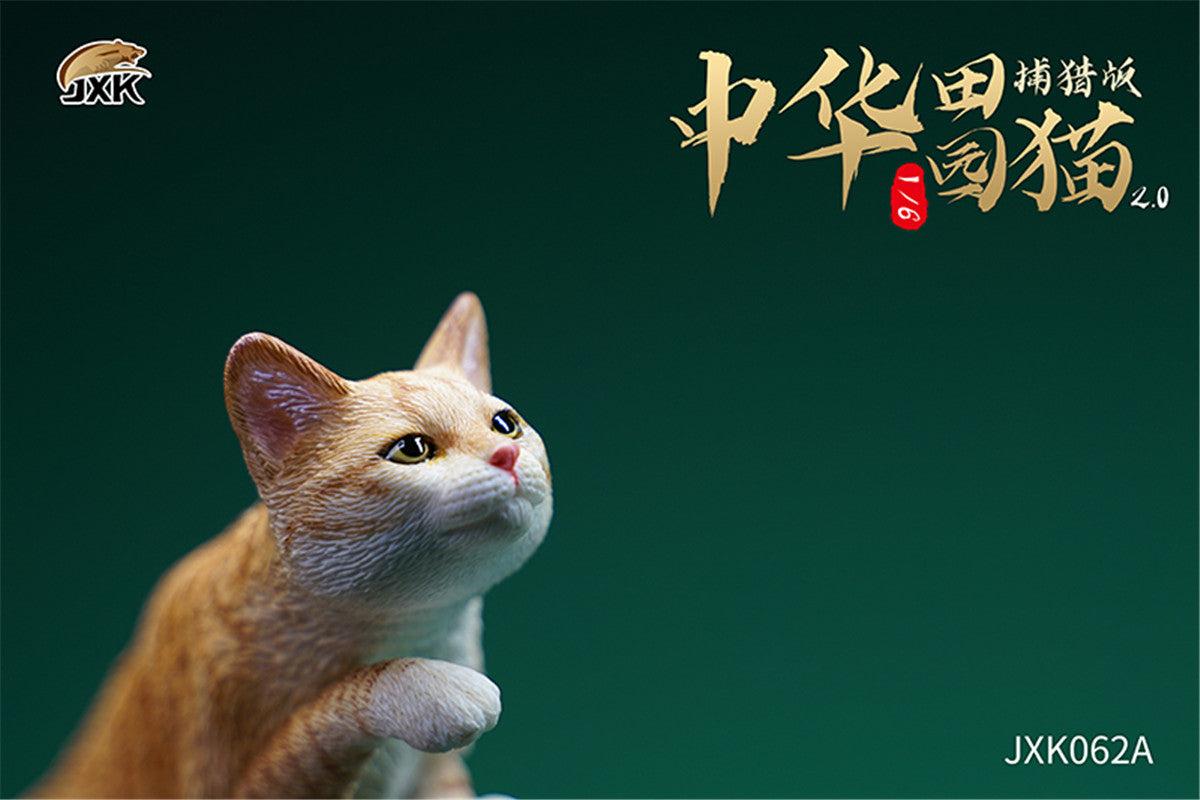 JXK 1/6 Chinese Garden Cat 2.0