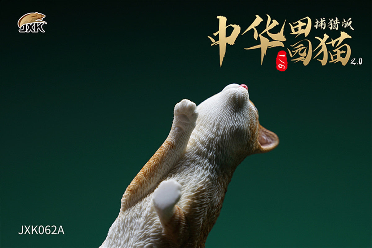 JXK 1/6 Chinese Garden Cat 2.0