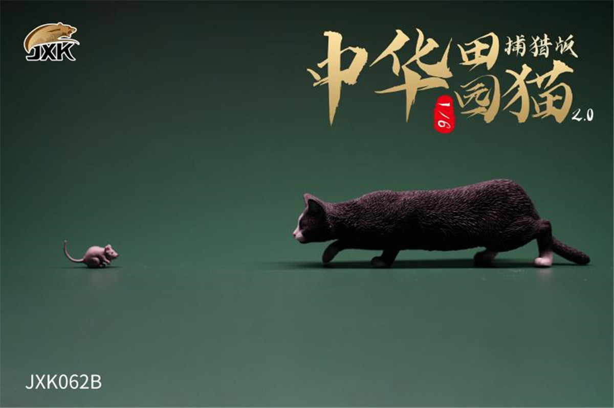 JXK 1/6 Chinese Garden Cat 2.0