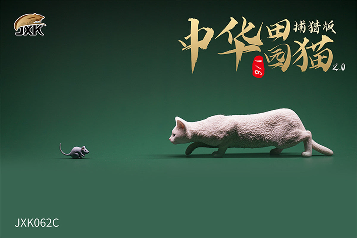 JXK 1/6 Chinese Garden Cat 2.0