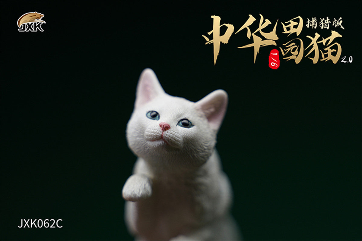 JXK 1/6 Chinese Garden Cat 2.0