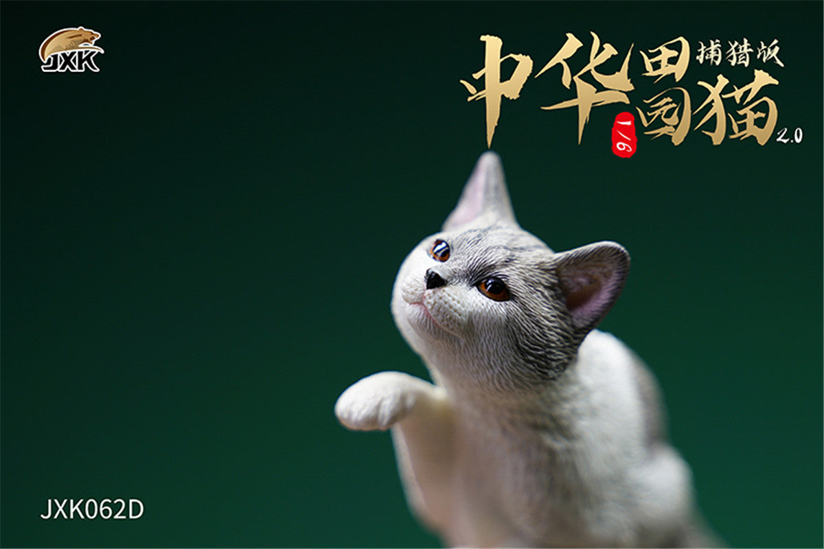 JXK 1/6 Chinese Garden Cat 2.0