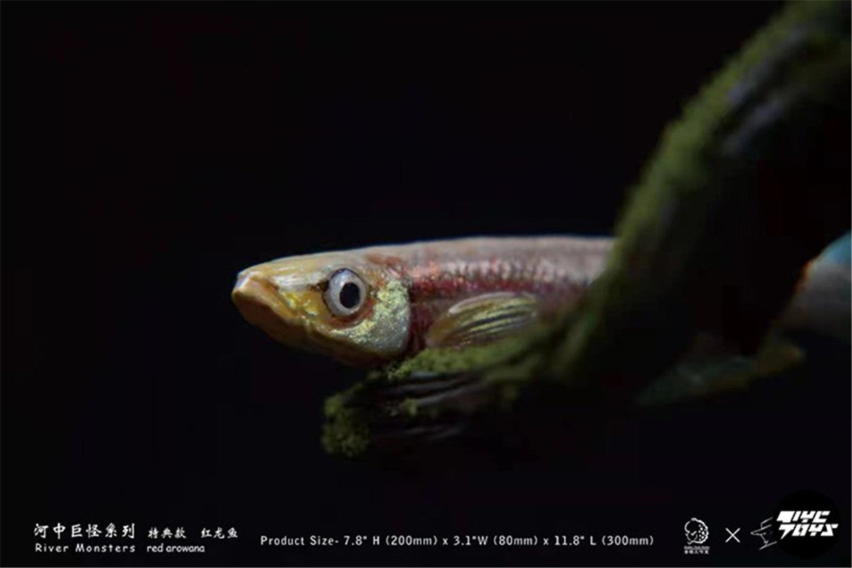 River Monsters Red Arowana Model