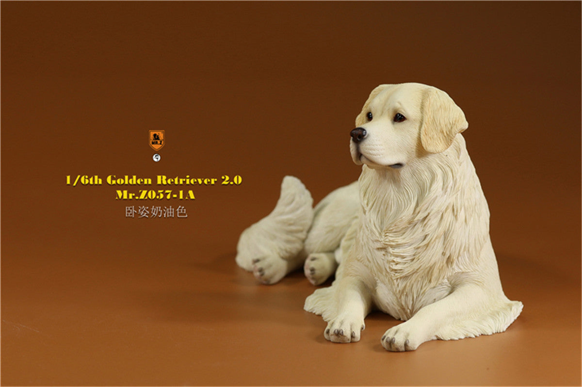 Mr.z 1/6 Golden Retriever Model