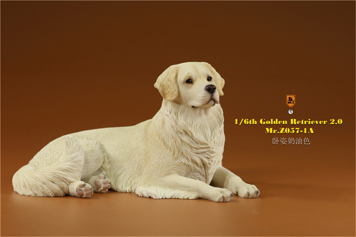 Mr.z 1/6 Golden Retriever Model