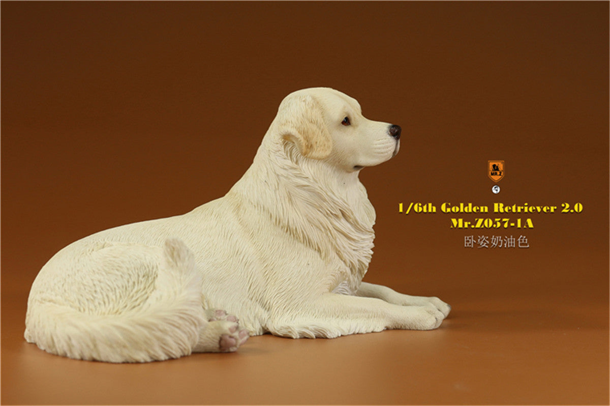 Mr.z 1/6 Golden Retriever Model