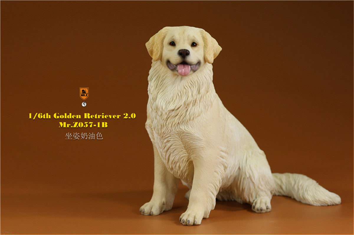 Mr.z 1/6 Golden Retriever Model