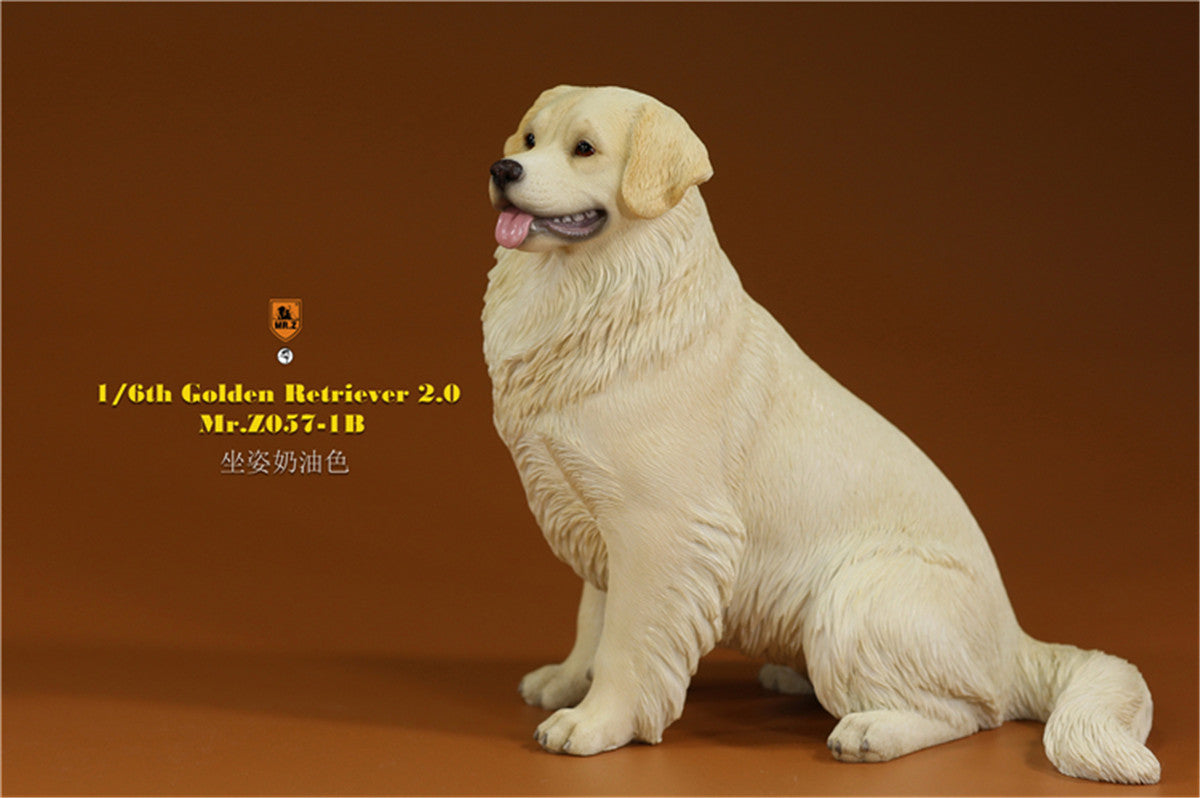 Mr.z 1/6 Golden Retriever Model