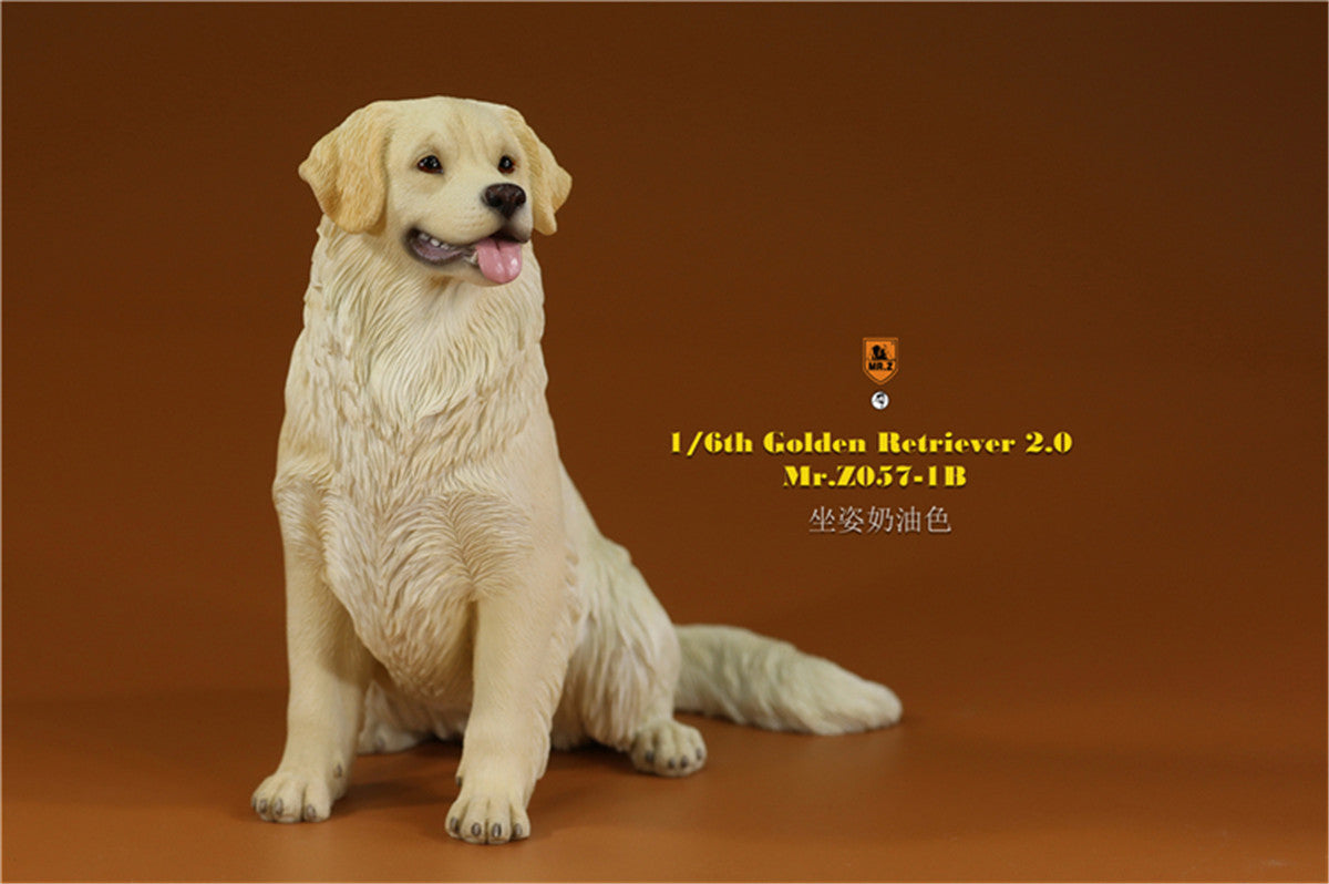 Mr.z 1/6 Golden Retriever Model