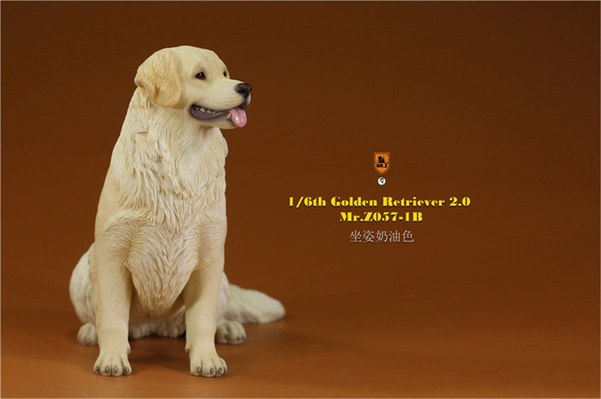 Mr.z 1/6 Golden Retriever Model