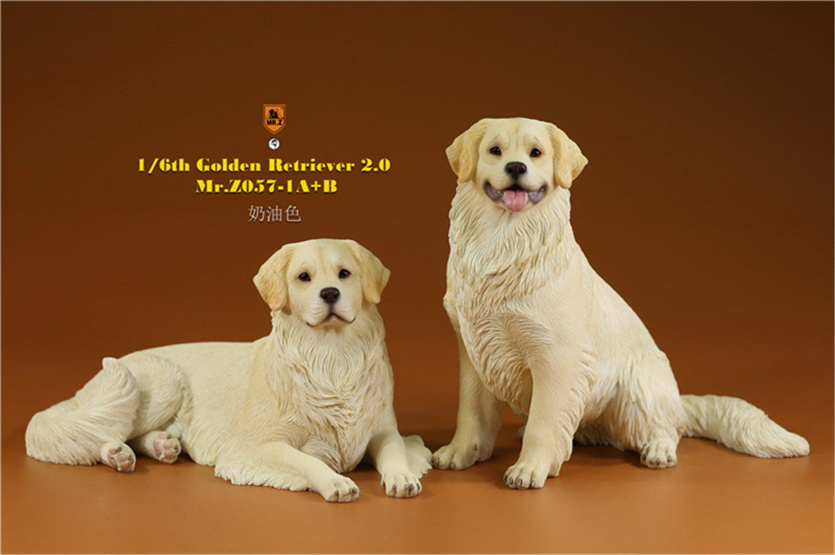 Mr.z 1/6 Golden Retriever Model